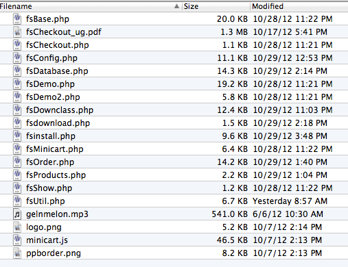fsCheckout Copy Files to Server